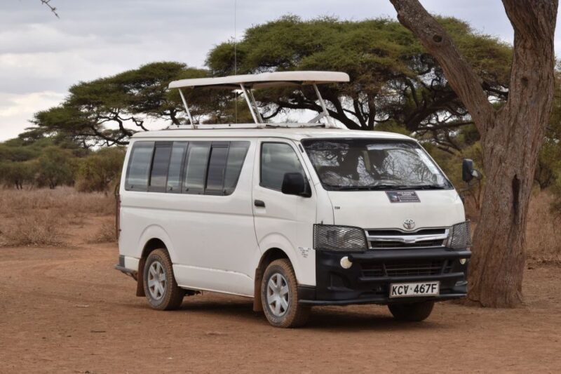 2 Days 1 Night Taita Hills - A Detailed Look at the 2-Day Taita Hills Safari