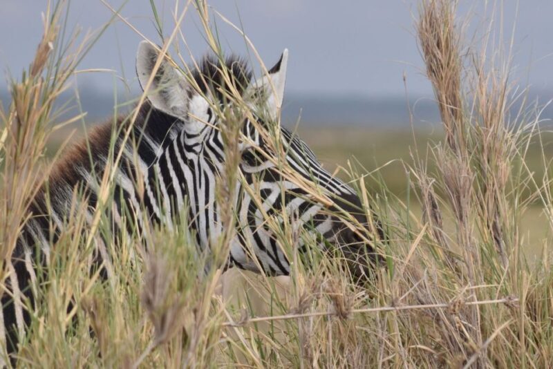 2 Days 1 Night Taita Hills - Pricing & Value