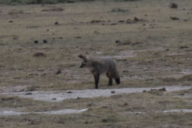 2 Days 1 Night Taita Hills - FAQ