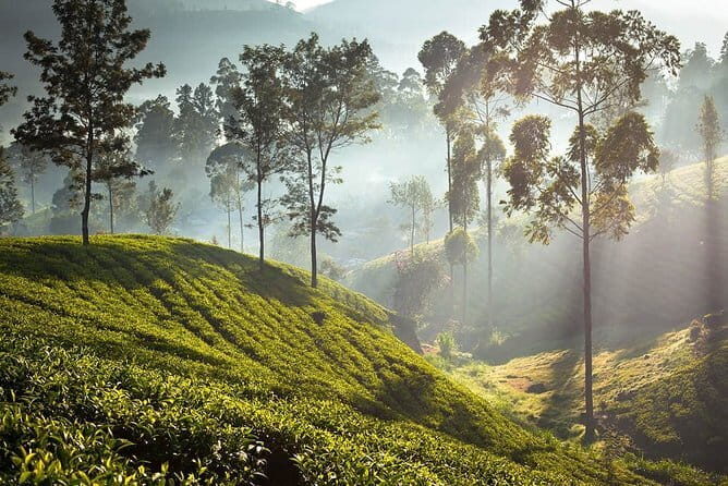 2 Days All inclusive Kandy and Nuwara Eliya Tour from Colombo - Practical Tips for Booking and Enjoyment