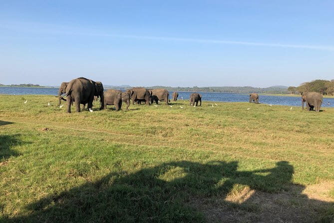 2 Days All inclusive Kandy and Nuwara Eliya Tour from Colombo - Frequently Asked Questions