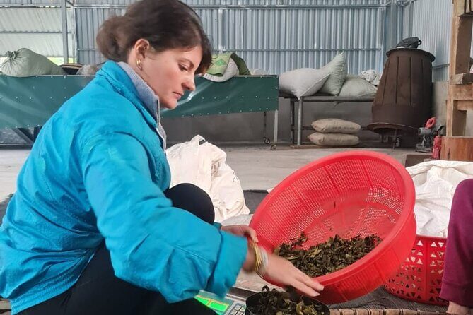 2 days Ancient Tea Tour and Real Homestay West of Ha Giang - The Sum Up: Why Choose This Tour?