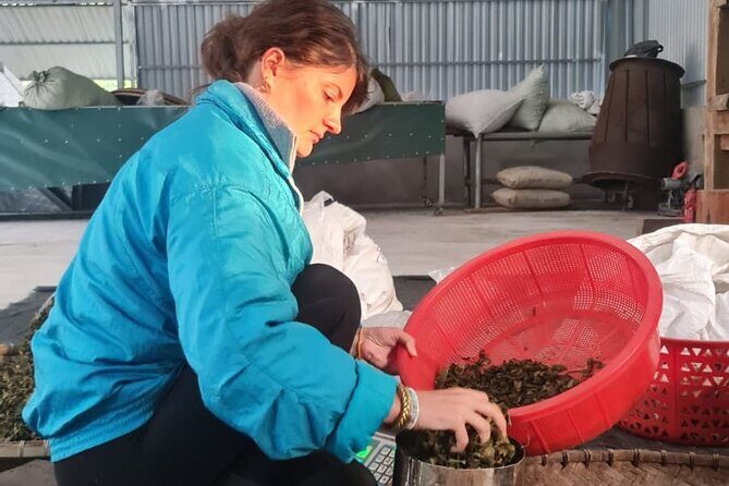 2 days Ancient Tea Tour and Real Homestay West of Ha Giang - FAQ