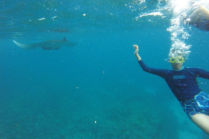 2 Days and 1 Night Private Tour with Snorkeling in Nusa Penida - A Close Look at the Itinerary