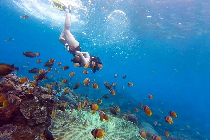 2 Days and 1 Night Private Tour with Snorkeling in Nusa Penida - Who Would Benefit Most From This Tour?
