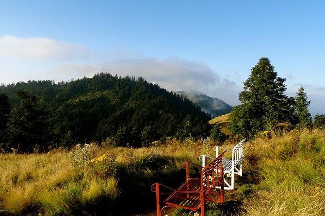 2 days Ghorepani Poon HIll Jeep Drive Trek - An In-Depth Look at the Tour Experience