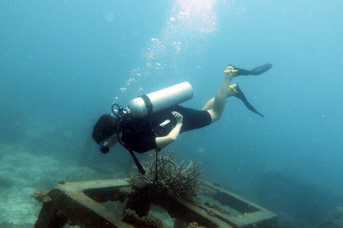 2 Days Guided Advanced Open Water Course in Thailand - The Experience: What to Expect from the 2-Day Advanced Open Water Course