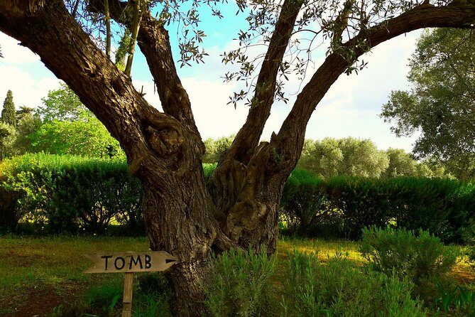 2 Days Herodotus Tour - Marathon, Thermopylae, Delphi, Thebes, Plataea, Salamis - Practical Considerations and Tips