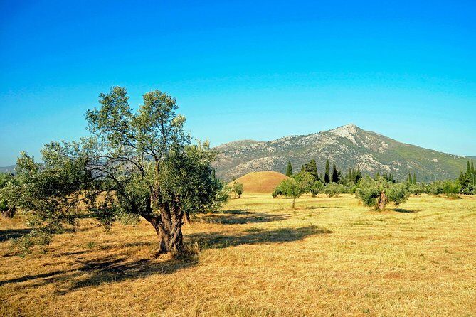 2 Days Herodotus Tour - Marathon, Thermopylae, Delphi, Thebes, Plataea, Salamis - FAQ