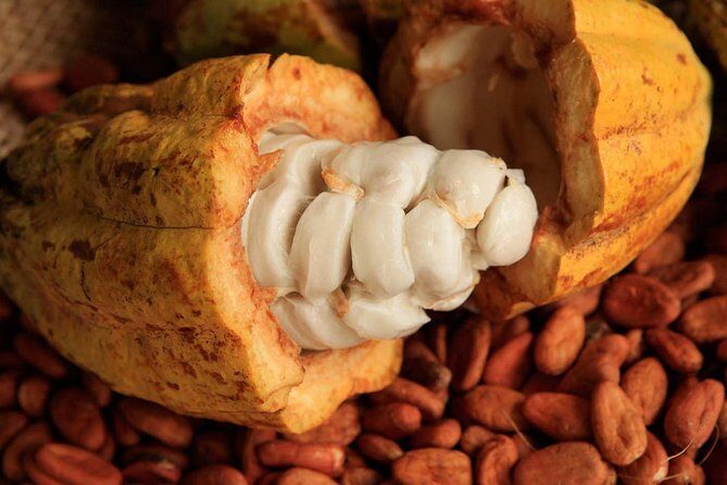 2 days Mayan world Ruins: Chichen Itza, Tulum, Coba, Cenotes - FAQ