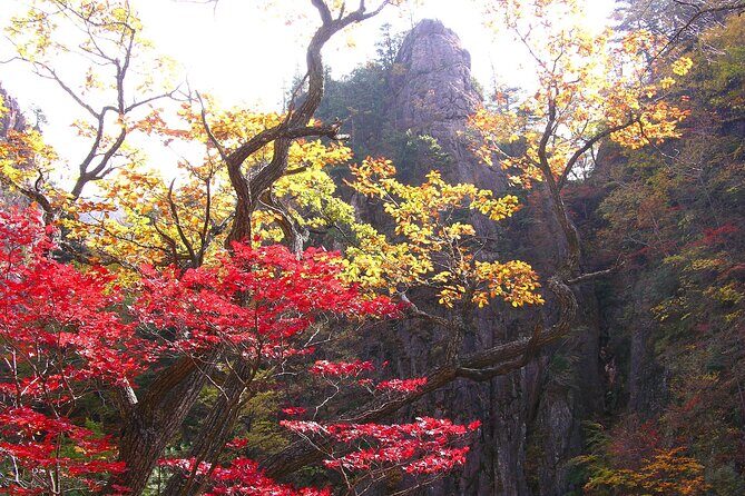 2-days: Mt Seorak, East Sea(Naksansa) & Nami or Ulsanbawi Hiking - Who Is This Tour Best Suited For?