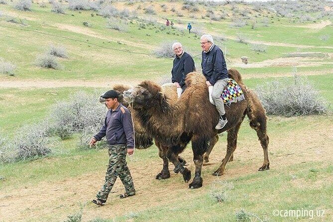 2 Days of Tour in Yurt Camp and Aydarkul - Who Will Love This Experience?