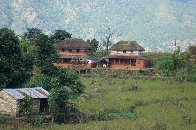 2 Days Panchase Hill Trek from Pokhara - The Full Scoop: What to Expect from the 2-Day Panchase Hill Trek