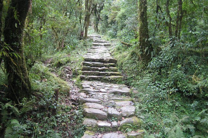 2 Days Panchase Hill Trekking - What to Expect on the 2 Days Panchase Hill Trek