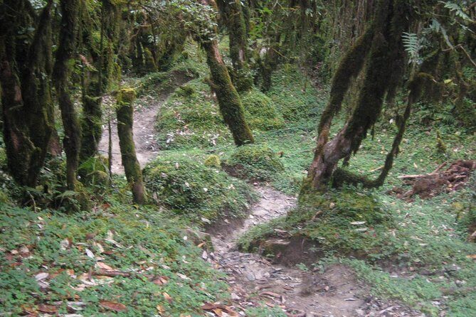 2 Days Panchase Hill Trekking - Why This Trek Is Perfect for You