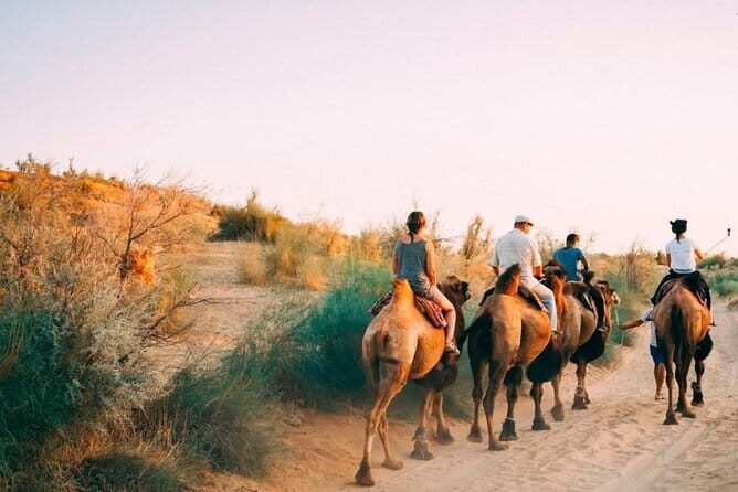 2 Days Private Safari Tour from Bukhara - Key Points