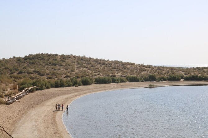 2 Days Private Safari Tour from Bukhara - A Deep Dive into the Experience