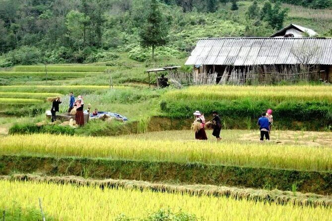 2-Days Private Sapa Adventure in Fansipan Peak and Amazing Village - Final Thoughts: Who Will Love This Tour?