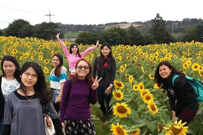 2 Days Private Taxi Tour - West and South of Jeju Island - Who Should Consider This Tour?