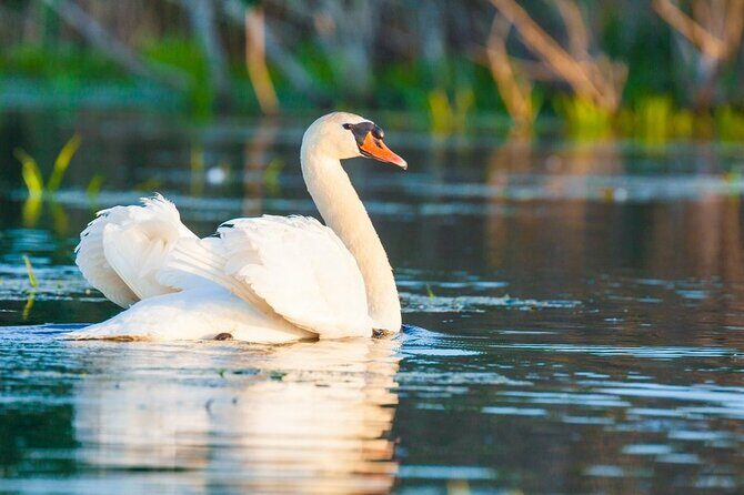 2 Days Private Tour from Bucharest to Black See and Danube Delta - Frequently Asked Questions