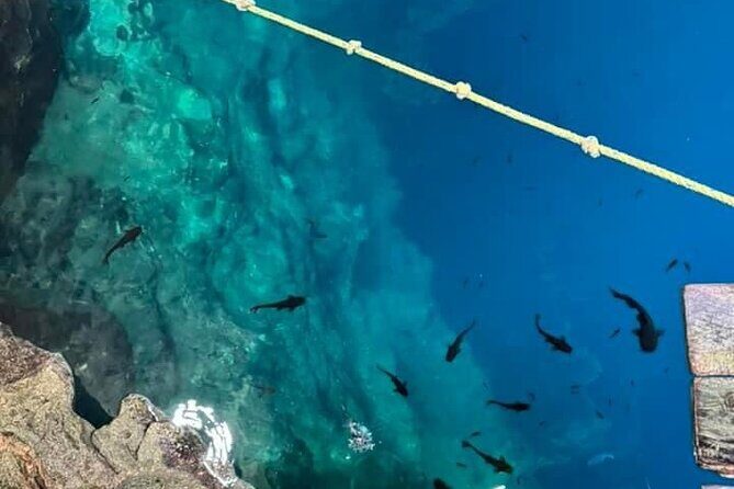 2 Days Private Tour in Aguas Rosas and Cenotes - The Itinerary Unpacked