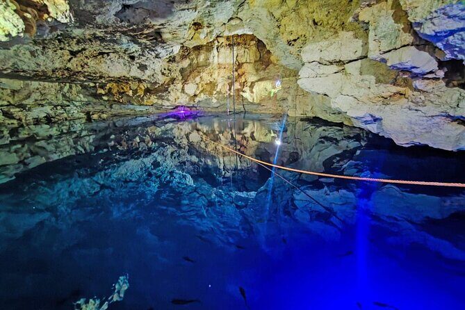 2 Days Private Tour in Aguas Rosas and Cenotes - Why Choose This Tour?
