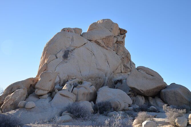 2-days Private Tour to Joshua Tree National Park from Los Angeles - Who Would Love This Tour?