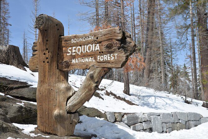 2 Days Private Tour to Sequoia and Kings Canyon Parks from LA - What’s Included and What to Expect