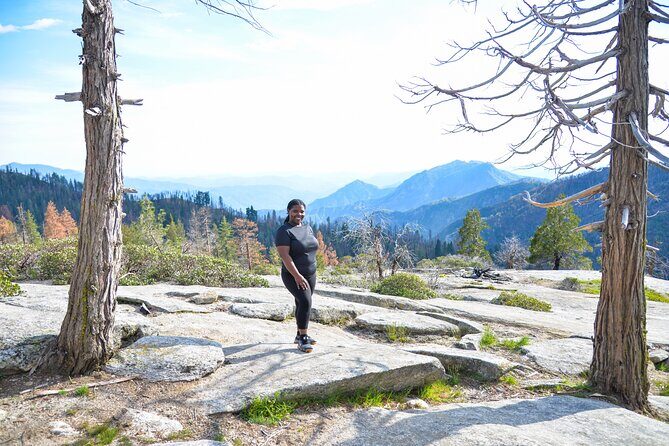 2 Days Private Tour to Sequoia and Kings Canyon Parks from LA - Who Should Consider This Tour?