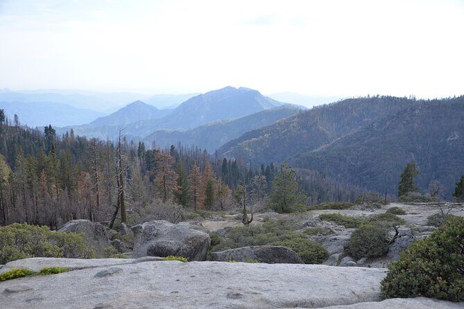 2 Days Private Tour to Sequoia and Kings Canyon Parks from LA - Final Thoughts