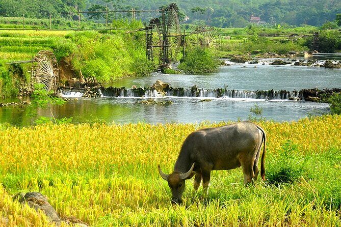 2 Days Pu Luong Offbeat Trekking Best for Mountain Lovers - Practical Considerations