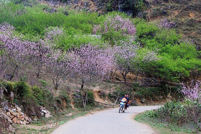 2 Days Sapa Trekking In Cat Cat And Ta Van Village From Hanoi - What’s Included and What’s Not