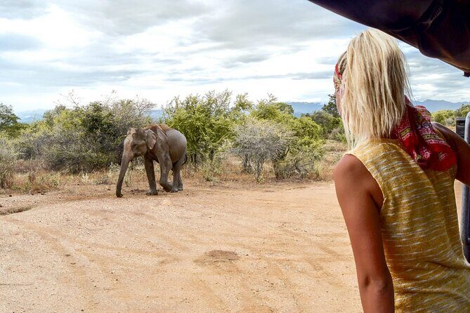 2 Days Tour of Double Safari (Yala & Udawalawe) - All Inclusive - Who Should Consider This Tour?