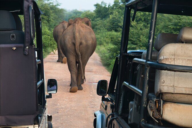 2 Days Tour To Bentota Galle & Yala From Colombo - What to Expect from the 2-Day Sri Lanka Tour