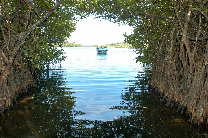 2 Days Tour To Bentota Galle & Yala From Colombo - Who Should Consider This Tour?