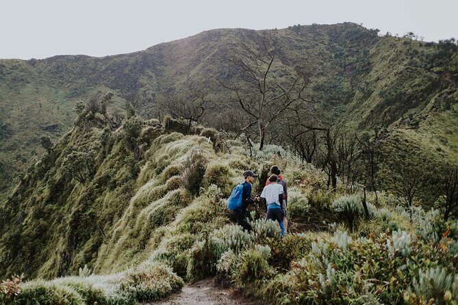 2 Days Tour to Mount Merbabu from Yogyakarta - Authentic Experiences from Previous Travelers