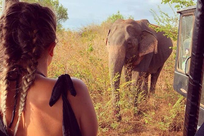 2 Days Tour to Udawalawe & Yala National Park From Negombo - Final Thoughts