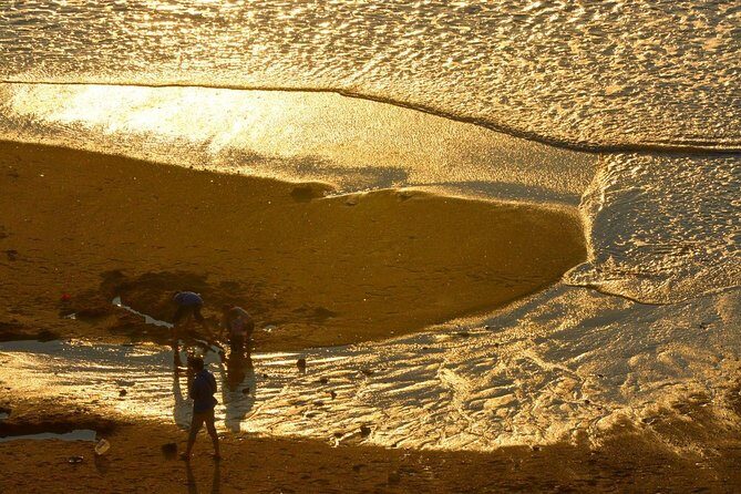 2 Days Xiapu Mudflat Photography Tour in Fujian - Authenticity and Local Flavor