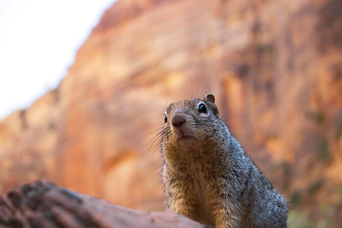 2 Days Zion and Bruce Canyon Tour with Hiking - An In-Depth Look at the Tour Experience