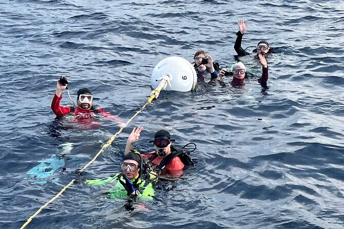 2 Dive Scuba Diving Reef Excursion to Key Largo Marine Sanctuary - Frequently Asked Questions