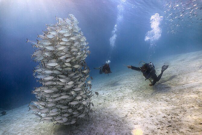(2 Dives) Discover Scuba Diving Kota Kinabalu - Who Will Love This Tour?