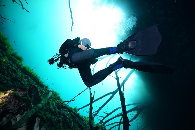 2 dives in Cenote Dos ojos Certified Divers - Final Thoughts: Who Will Love This Tour?
