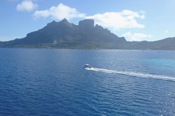 2 Dives in the morning for certified divers in Bora Bora - Final Thoughts