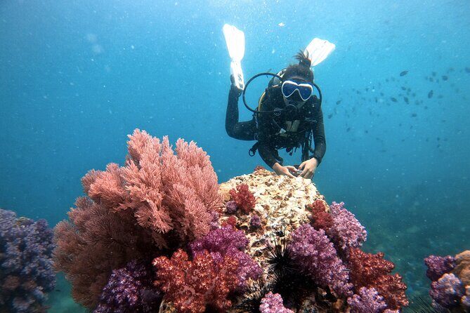 2 Fun Divers for Certified Divers in Thailand - Why Choose Adang Sea Divers?