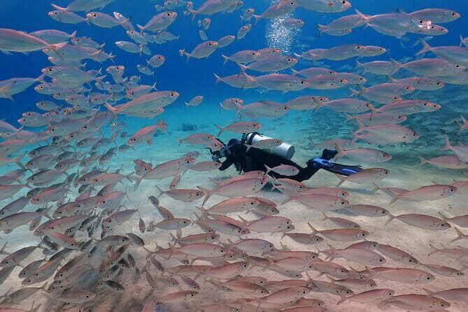 2 Fun Dives in Racha Yai or Noi for Certified Divers - The Itinerary: What to Expect from Start to Finish
