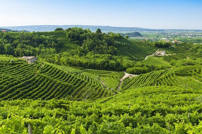 2 Guests Private Prosecco Road Tour All Inclusive from Conegliano - Discover the Charm of Italy’s Prosecco Road with a Private All-Inclusive Tour