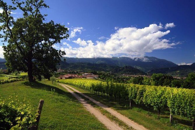2 Guests Private Prosecco Road Tour All Inclusive from Conegliano - Who Will Love This Tour?