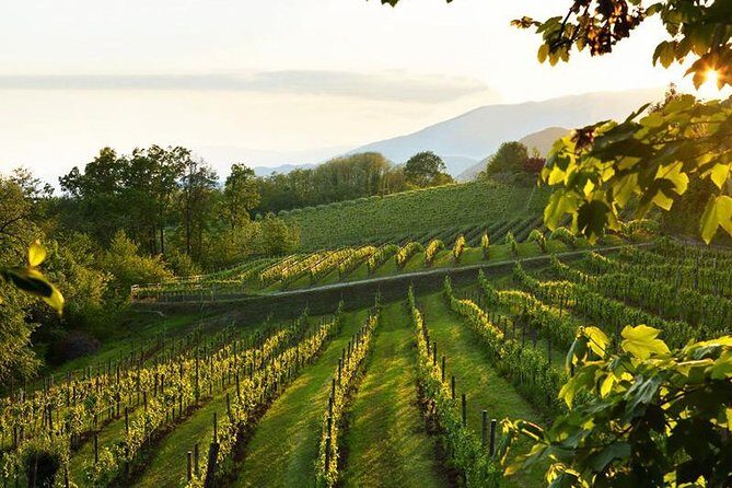 2 Guests Private Prosecco Road Tour All Inclusive from Conegliano - Frequently Asked Questions