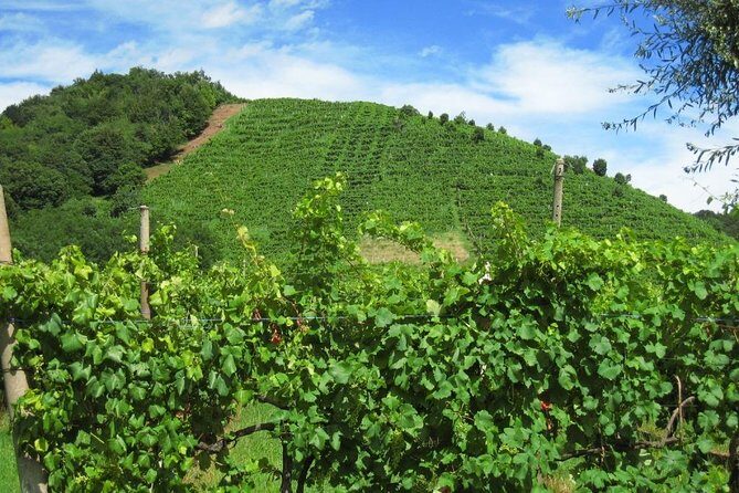 2 Guests Private Prosecco Road Tour All Inclusive from Conegliano - Final Thoughts