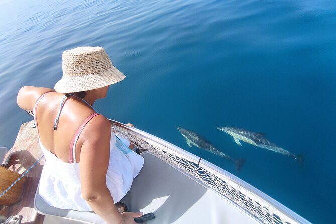 2 h Estepona Bay Tour - Discover the Charm of the 2-Hour Estepona Bay Tour